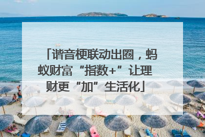 谐音梗联动出圈，蚂蚁财富“指数+”让理财更“加”生活化