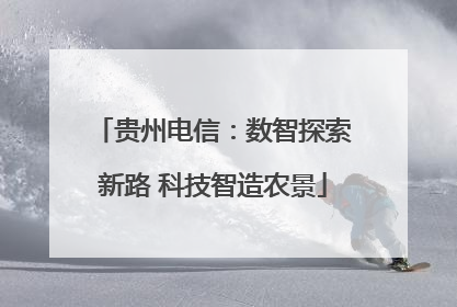 贵州电信：数智探索新路 科技智造农景