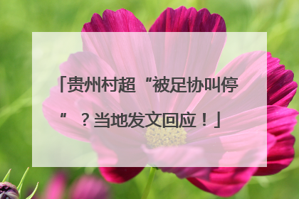 贵州村超“被足协叫停”？当地发文回应！
