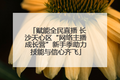 赋能全民直播 长沙天心区“网络主播成长营”新手季助力技能与信心齐飞