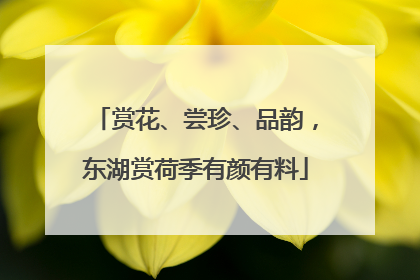 赏花、尝珍、品韵，东湖赏荷季有颜有料