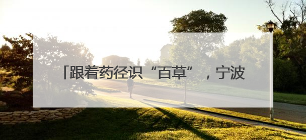 跟着药径识“百草”，宁波首条中医药研学步道发布
