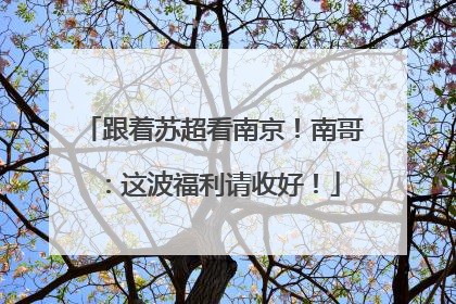跟着苏超看南京！南哥：这波福利请收好！