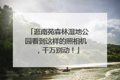 逛南苑森林湿地公园看到这样的照相机，千万别动！