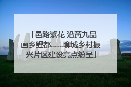 邑路繁花 沿黄九品 画乡鲤都……聊城乡村振兴片区建设亮点纷呈