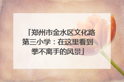 郑州市金水区文化路第三小学：在这里看到拳不离手的风景