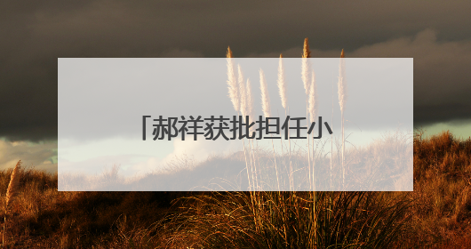郝祥获批担任小米消金总助兼董秘，小米集团资本版图再现协同扩张