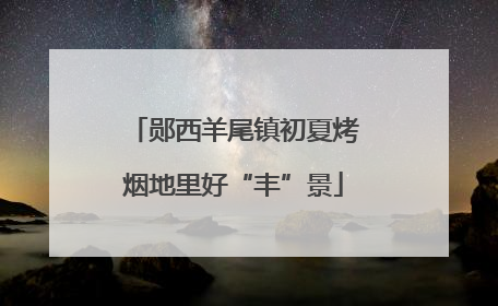 郧西羊尾镇初夏烤烟地里好“丰”景