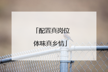 配置真岗位 体味真乡情