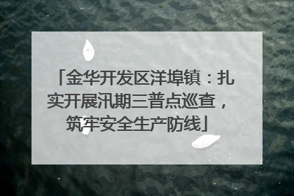 金华开发区洋埠镇：扎实开展汛期三普点巡查，筑牢安全生产防线