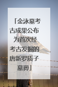 金泳墓考古成果公布 为首次经考古发掘的唐新罗质子墓葬