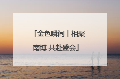 金色瞬间丨相聚南博 共赴盛会