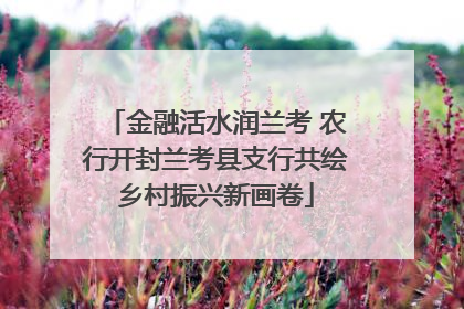 金融活水润兰考 农行开封兰考县支行共绘乡村振兴新画卷
