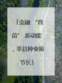 金融 “育苗” 新动能，莘县种业拔节长