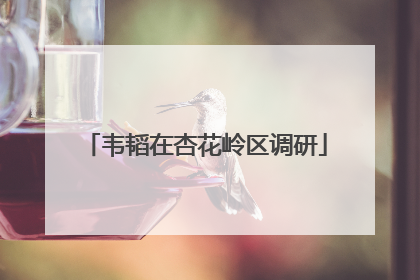 韦韬在杏花岭区调研