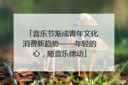音乐节渐成青年文化消费新趋势——年轻的心，随音乐律动