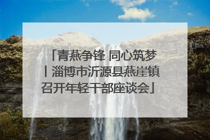 青燕争锋 同心筑梦丨淄博市沂源县燕崖镇召开年轻干部座谈会