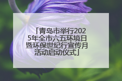青岛市举行2025年全市六五环境日暨环保世纪行宣传月活动启动仪式