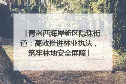 青岛西海岸新区隐珠街道：高效推进林业执法，筑牢林地安全屏障