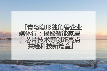 青岛隐形独角兽企业媒体行：揭秘智能家居、芯片技术等创新亮点 共绘科技新篇章