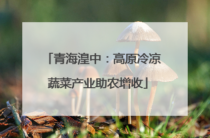 青海湟中：高原冷凉蔬菜产业助农增收