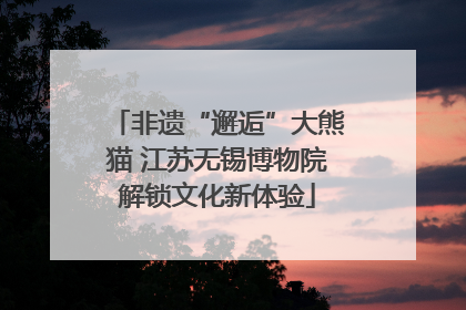 非遗“邂逅”大熊猫 江苏无锡博物院解锁文化新体验