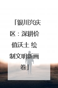 银川兴庆区：深耕价值沃土 绘制文明新画卷