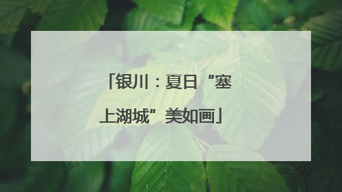 银川：夏日“塞上湖城”美如画