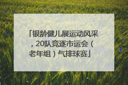银龄健儿展运动风采，20队竞逐市运会（老年组）气排球赛