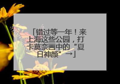 错过等一年！来上海这些公园，打卡莫奈画中的“夏日神颜”→