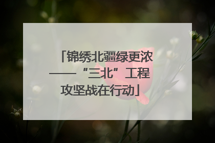 锦绣北疆绿更浓——“三北”工程攻坚战在行动