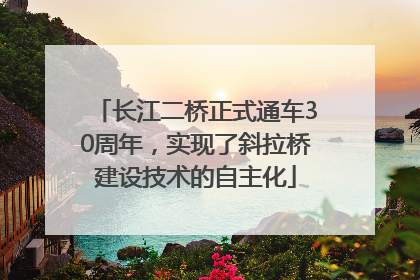 长江二桥正式通车30周年，实现了斜拉桥建设技术的自主化