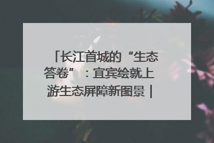 长江首城的“生态答卷”：宜宾绘就上游生态屏障新图景｜中华环保世纪行