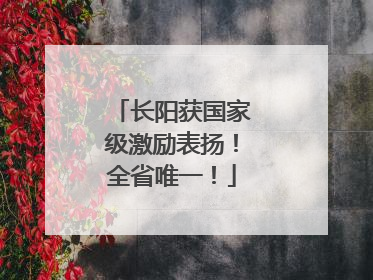 长阳获国家级激励表扬！全省唯一！