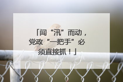 闻“汛”而动，党政“一把手”必须直接抓！