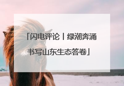 闪电评论丨绿潮奔涌 书写山东生态答卷