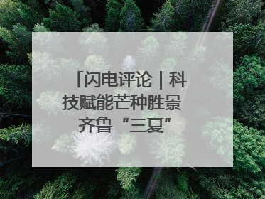 闪电评论｜科技赋能芒种胜景 齐鲁“三夏”画卷更壮美