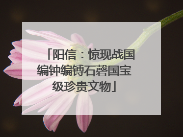 阳信：惊现战国编钟编镈石磬国宝级珍贵文物