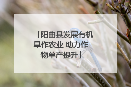 阳曲县发展有机旱作农业 助力作物单产提升