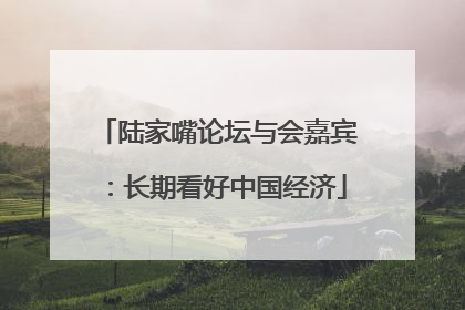 陆家嘴论坛与会嘉宾：长期看好中国经济