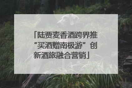 陆贾麦香酒跨界推“买酒赠南极游”创新酒旅融合营销