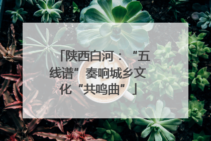 陕西白河：“五线谱”奏响城乡文化“共鸣曲”