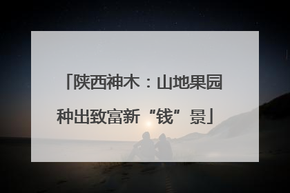 陕西神木：山地果园种出致富新“钱”景