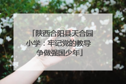 陕西合阳县天合园小学：牢记党的教导 争做强国少年