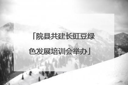 院县共建长豇豆绿色发展培训会举办