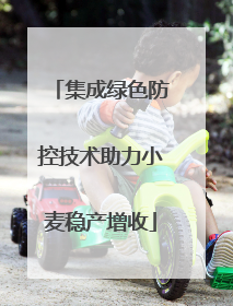 集成绿色防控技术助力小麦稳产增收