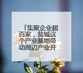 集聚企业超百家，盐城这个产业基地带动周边产业开票超百亿