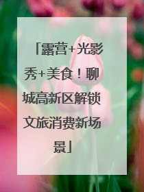 露营+光影秀+美食！聊城高新区解锁文旅消费新场景