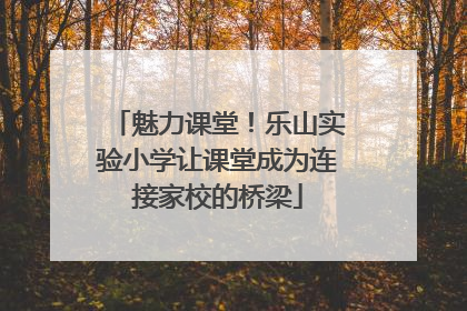 魅力课堂！乐山实验小学让课堂成为连接家校的桥梁