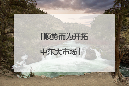 顺势而为开拓中东大市场